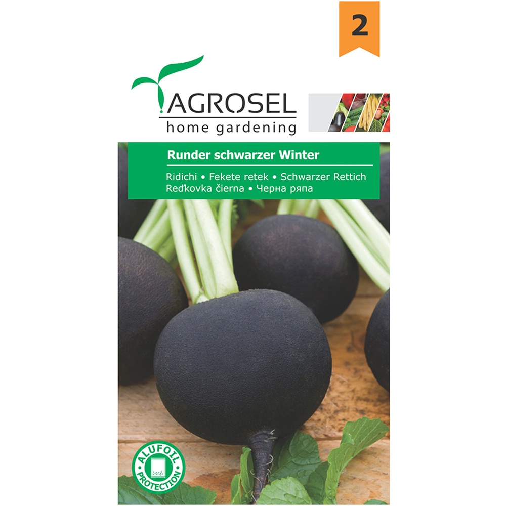 Seminte legume ridichi Runder Schwarzer Winter AGROSEL