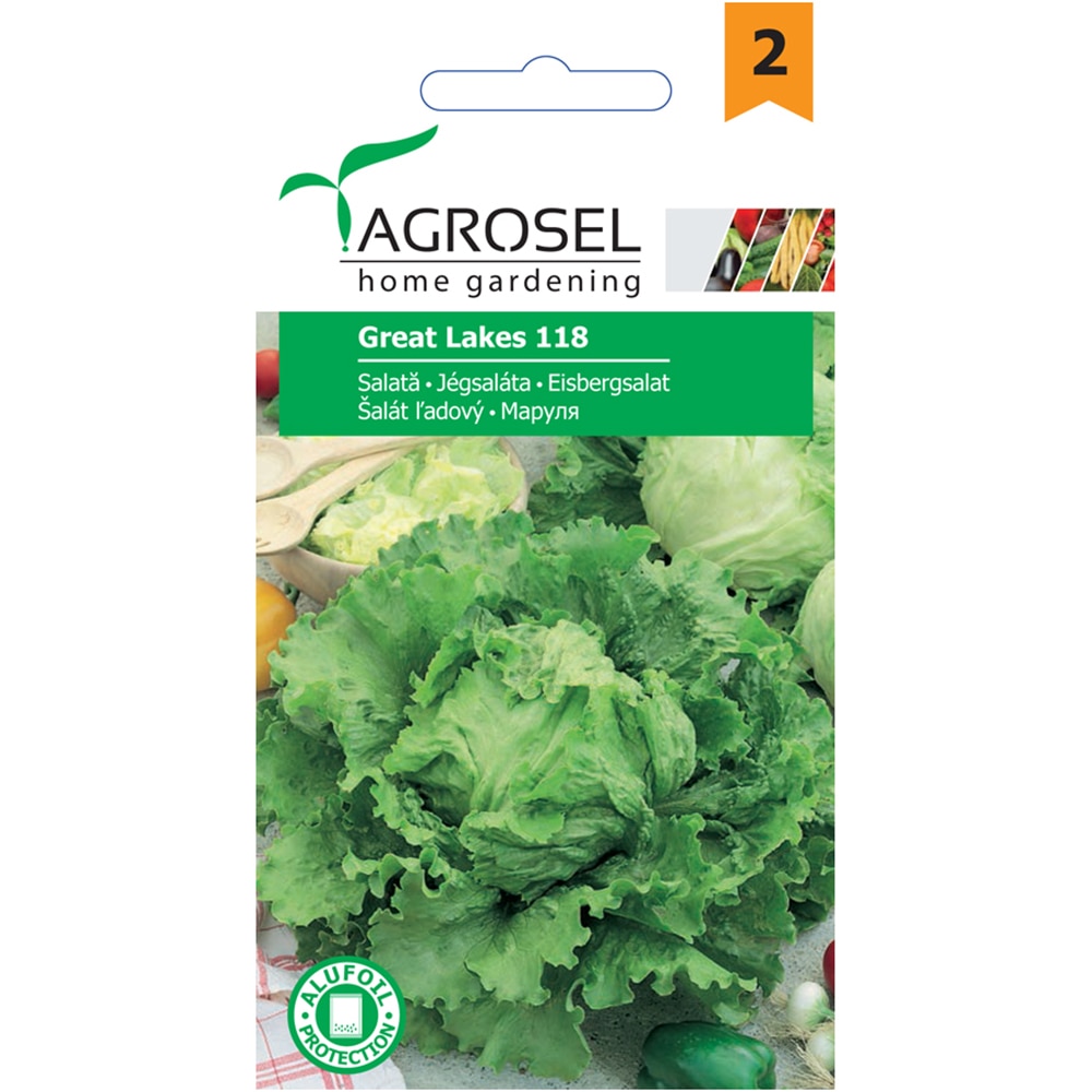 Seminte legume salata Great Lakes 118 AGROSEL, 1.2g