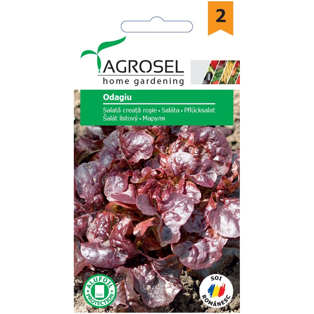 Seminte legume salata creata rosie Odagiu AGROSEL, 1.5g