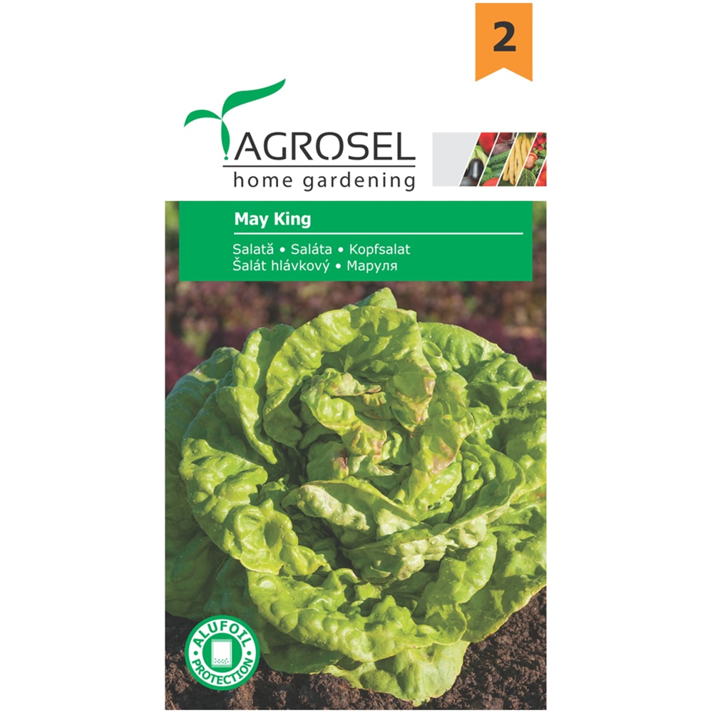 Seminte legume salata May King AGROSEL