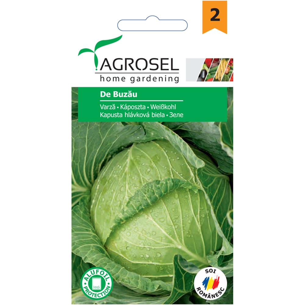 Seminte legume varza Buzau AGROSEL, 2.5g