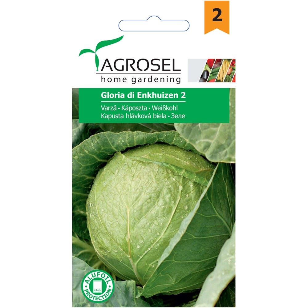 Seminte de legume Varza Gloria di Enkhuizen 2 AGROSEL, 1 plic