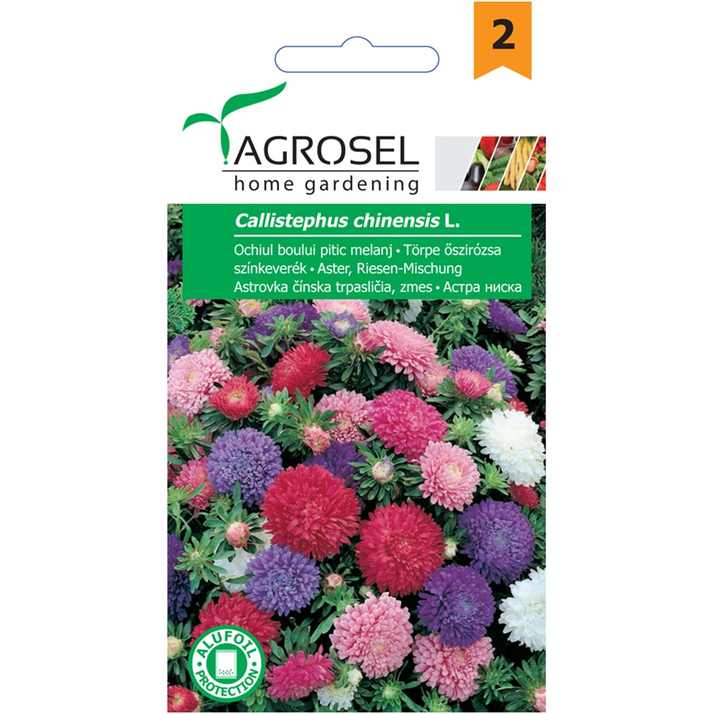 Seminte flori Ochiul Boului Pitic melanj AGROSEL, 1g