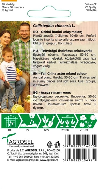 Ochiul Boului Urias Melanj