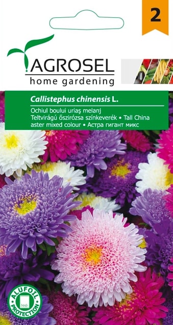 Ochiul Boului Urias Melanj