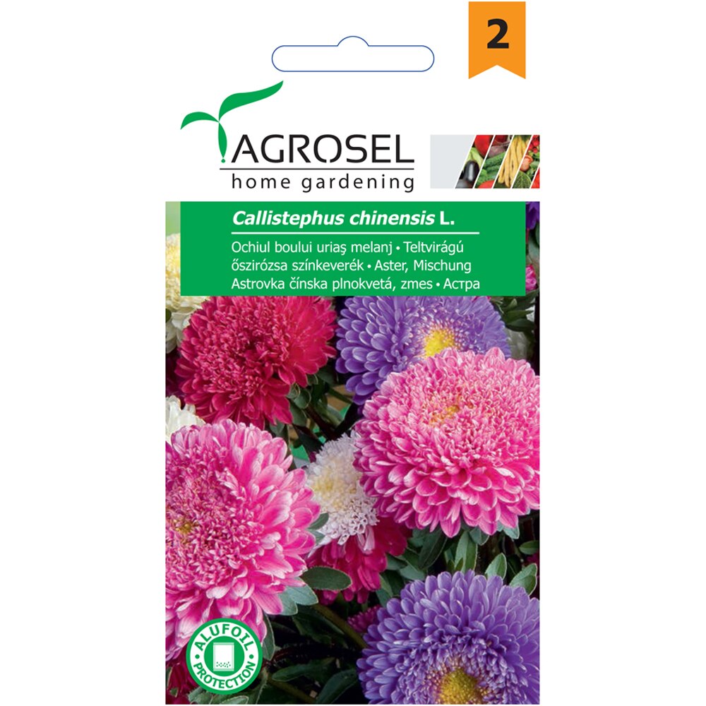 Seminte de flori Ochiul boului urias Nova, melanj, AGROSEL, 1 plic