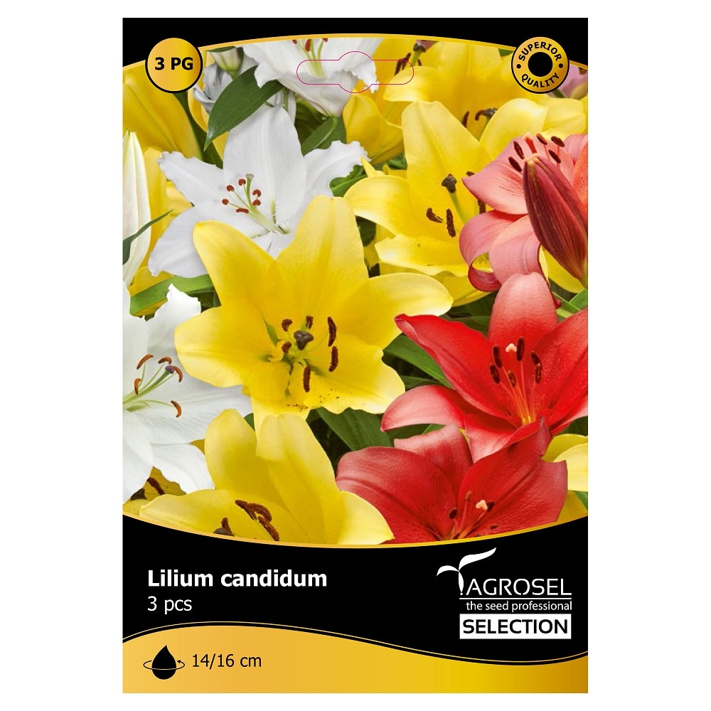 Bulbi crin, mix  Agrosel