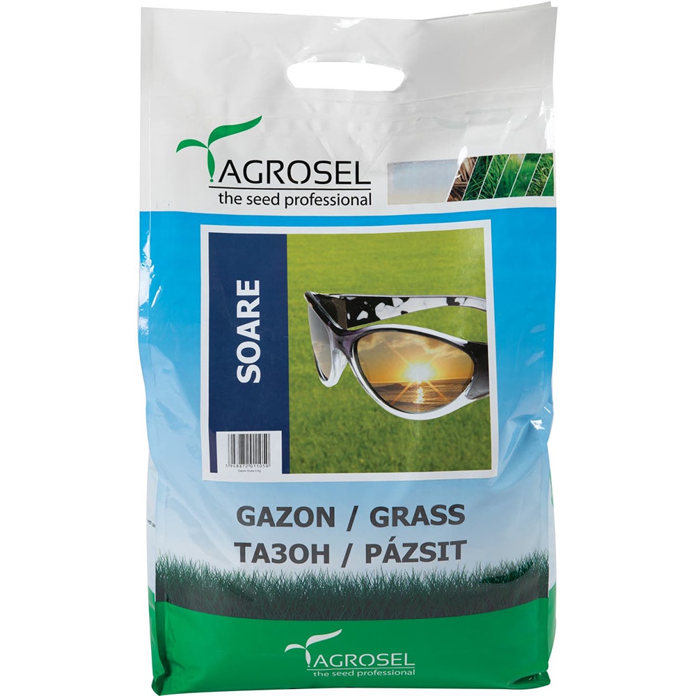 Seminte gazon soare Agrosel, 5 kg