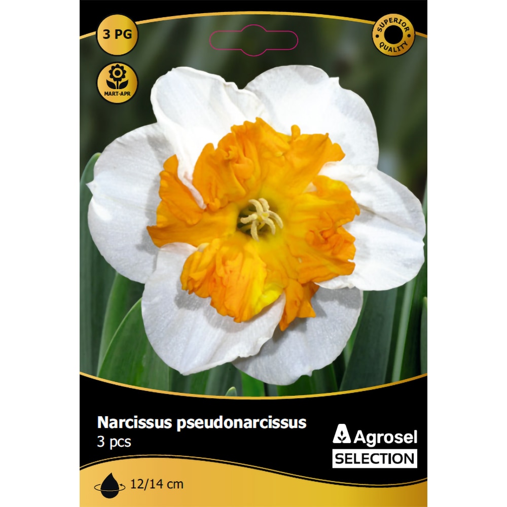 Bulbi Narcisa Curly AGROSEL SELECTION, alb
