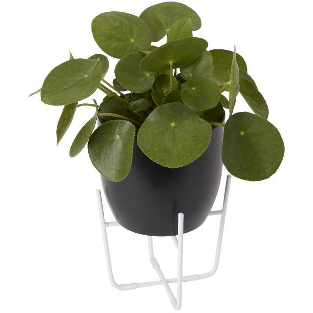 Suport ghiveci flori GOODHOME, metal, 16 x 12 x 14 cm, alb