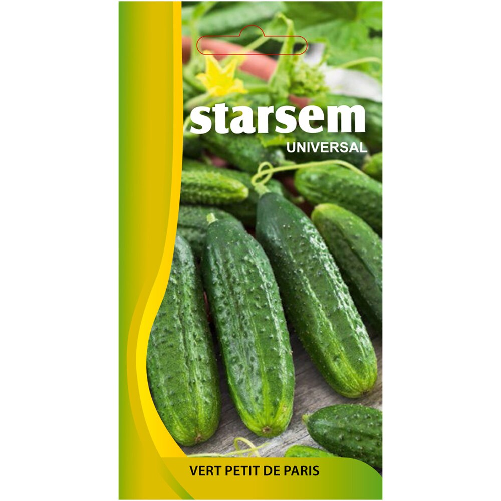 Seminte legume Castraveti cornichon STARSEM