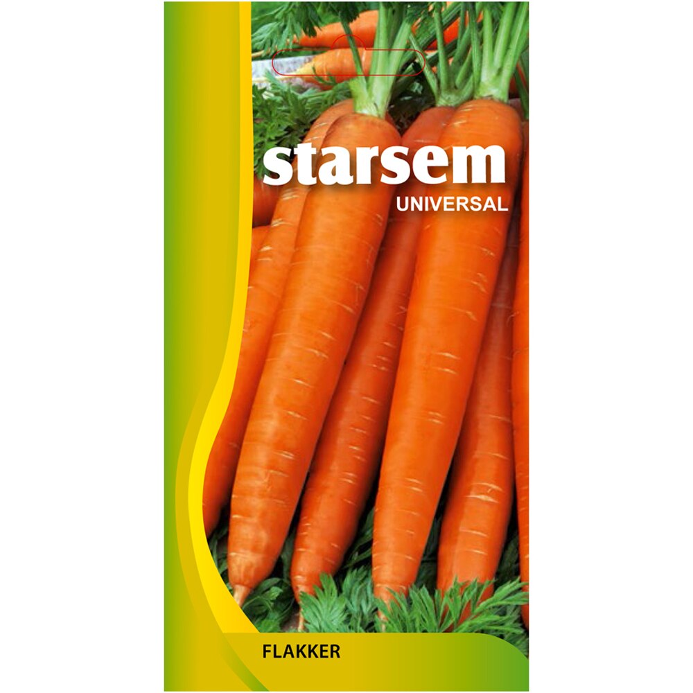 Seminte legume Morcovi Flakker STARSEM