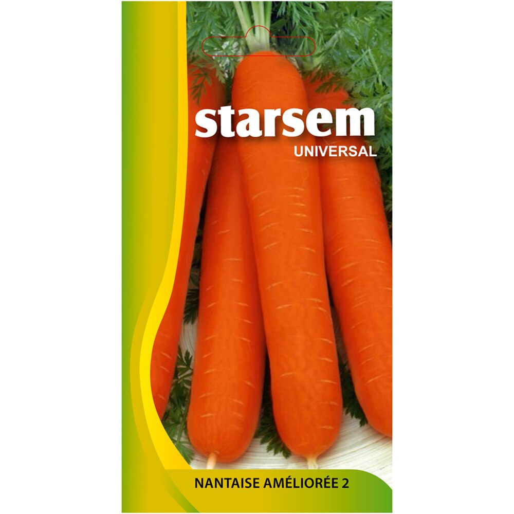 Seminte legume Morcovi Nantaise STARSEM