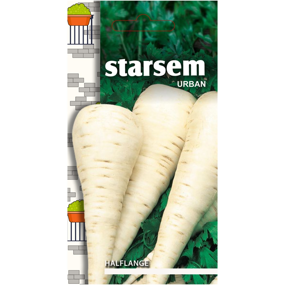 Seminte legume patrunjel radacina Halflange STARSEM
