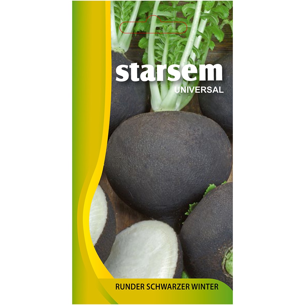 Seminte legume ridichi negre Runder Schwarzer Winter STARSEM