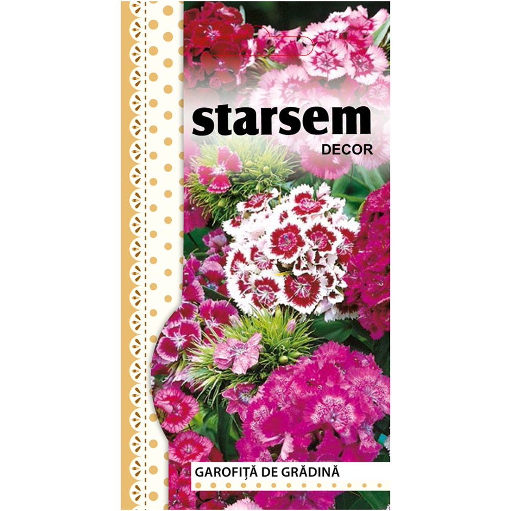 Seminte flori Garofite de gradina STARSEM