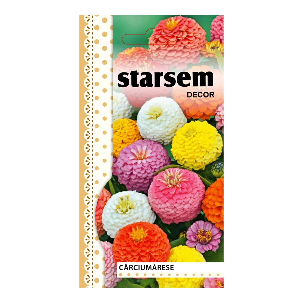 Carciumarese Liliput Stsm