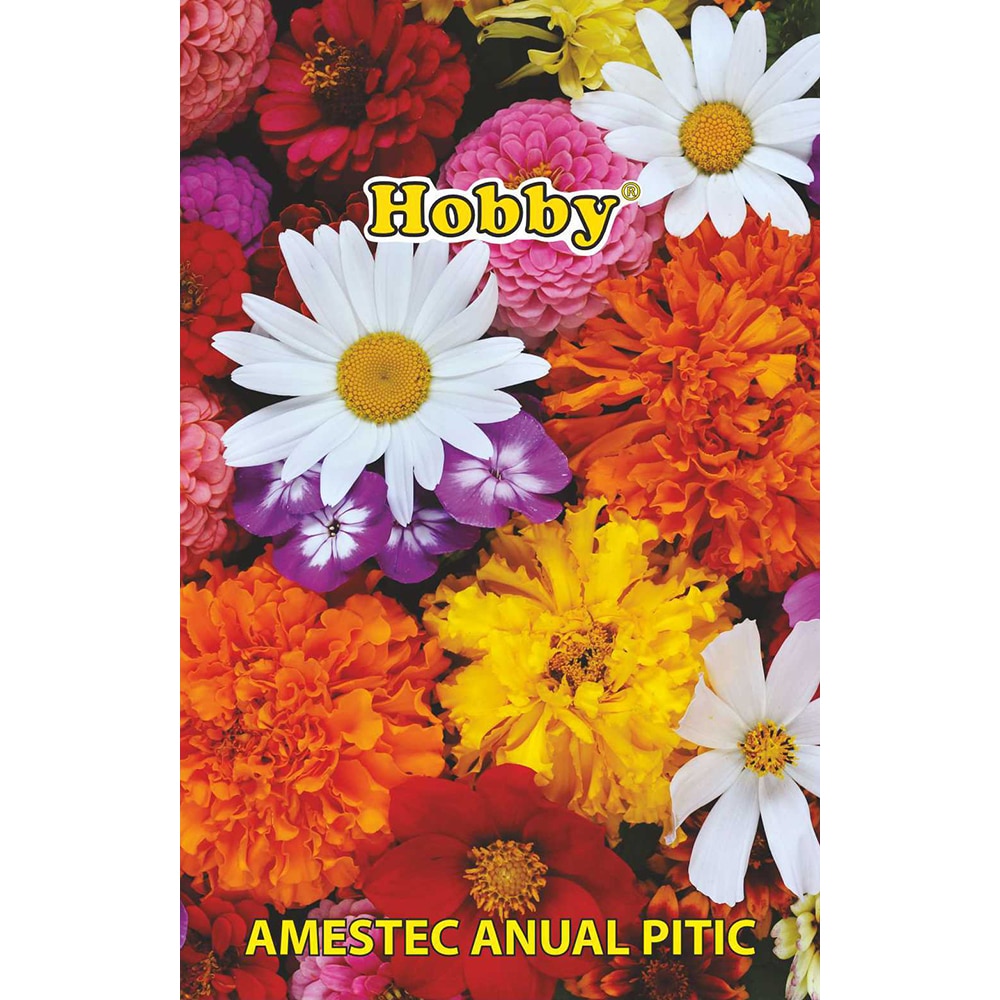 Seminte flori amestec anual pitic HOBBY, 1.5g