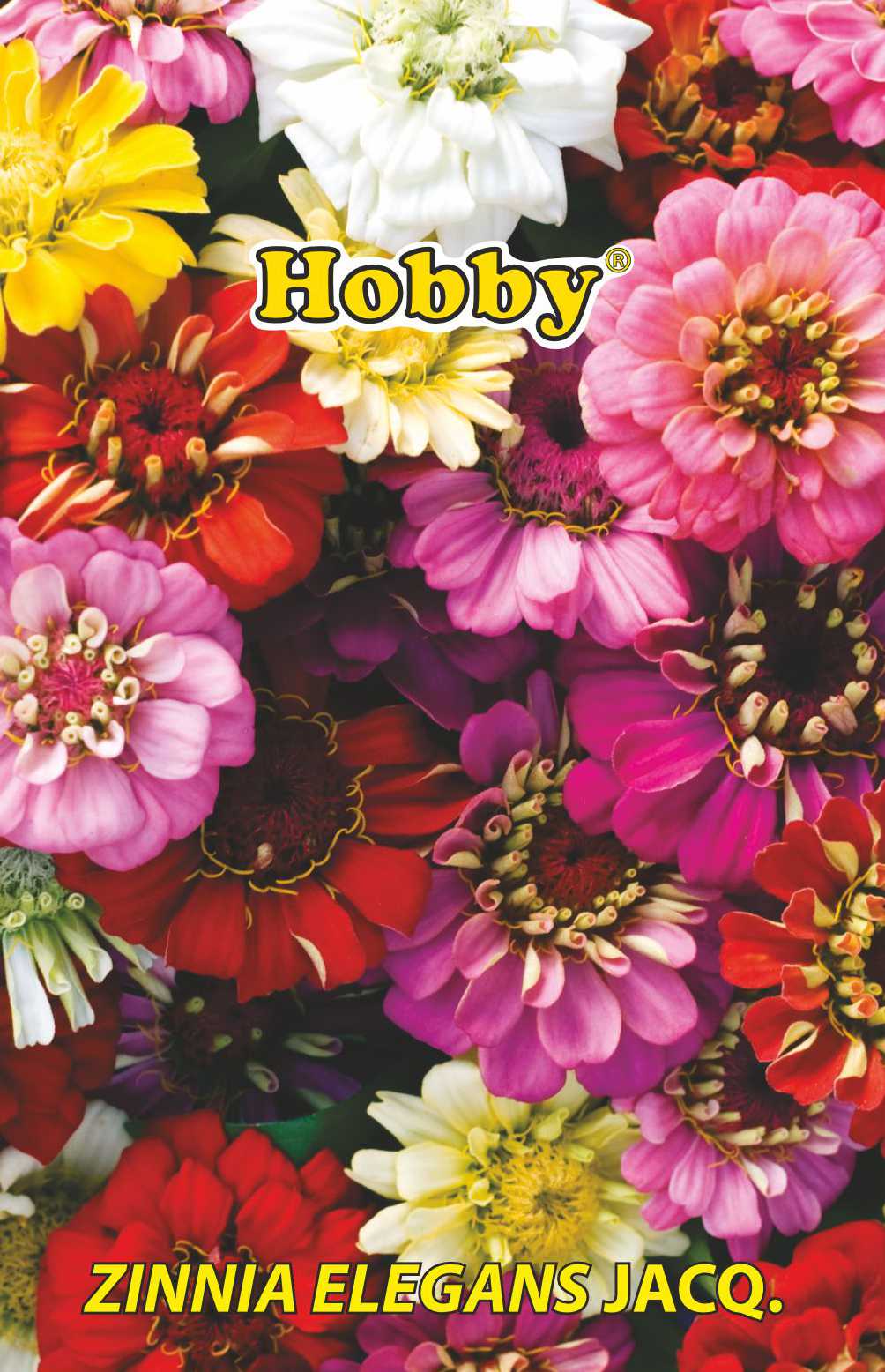 Carciumarese Liliput Melanj 1G Plic Hobb