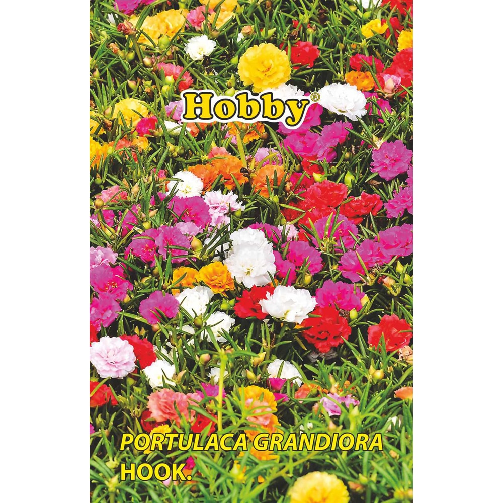Seminte flori de piatra HOBBY