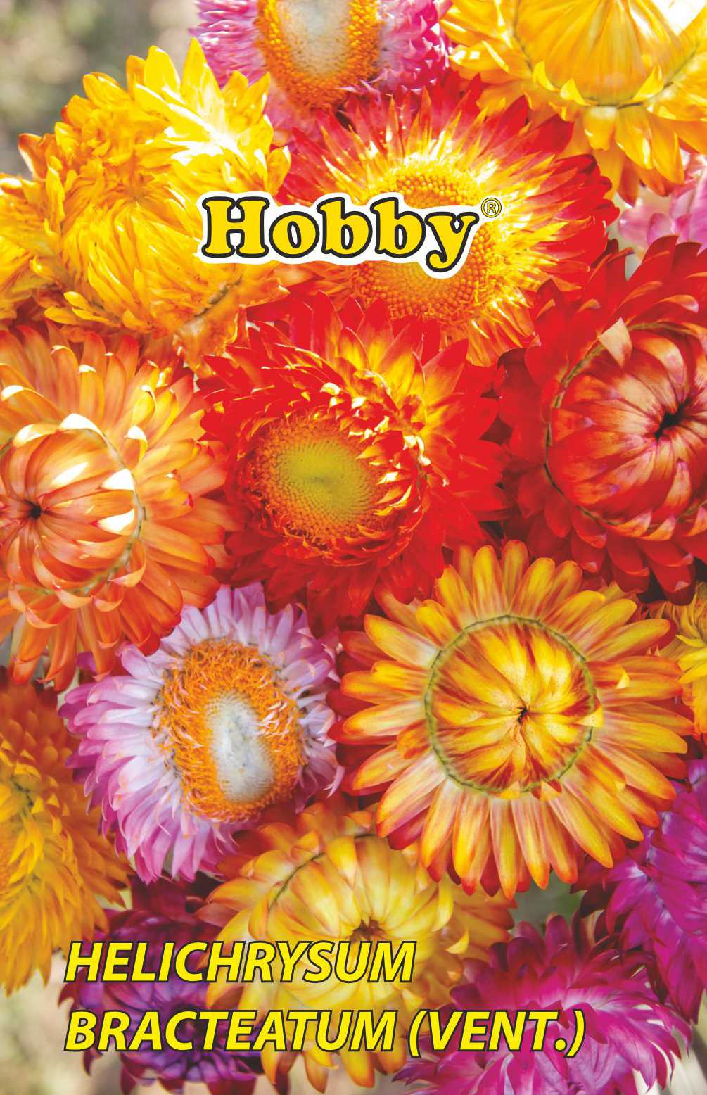 Imortele Melanj 0.4G Plic. Hobby