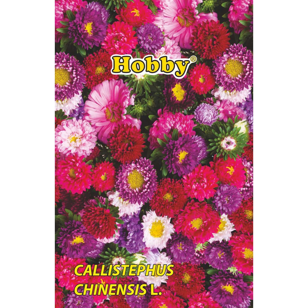 Seminte flori Ochiul boului pitic HOBBY