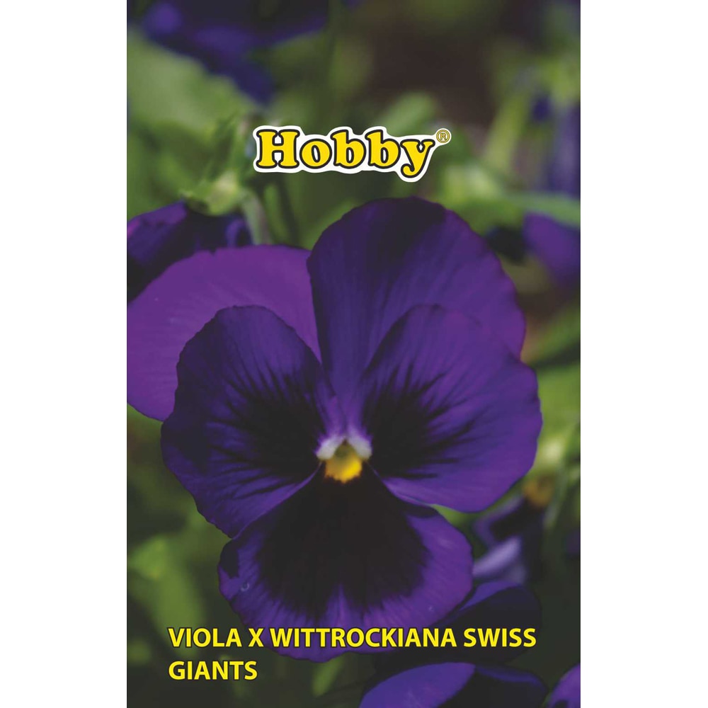 Seminte flori Panselute albastru HOBBY