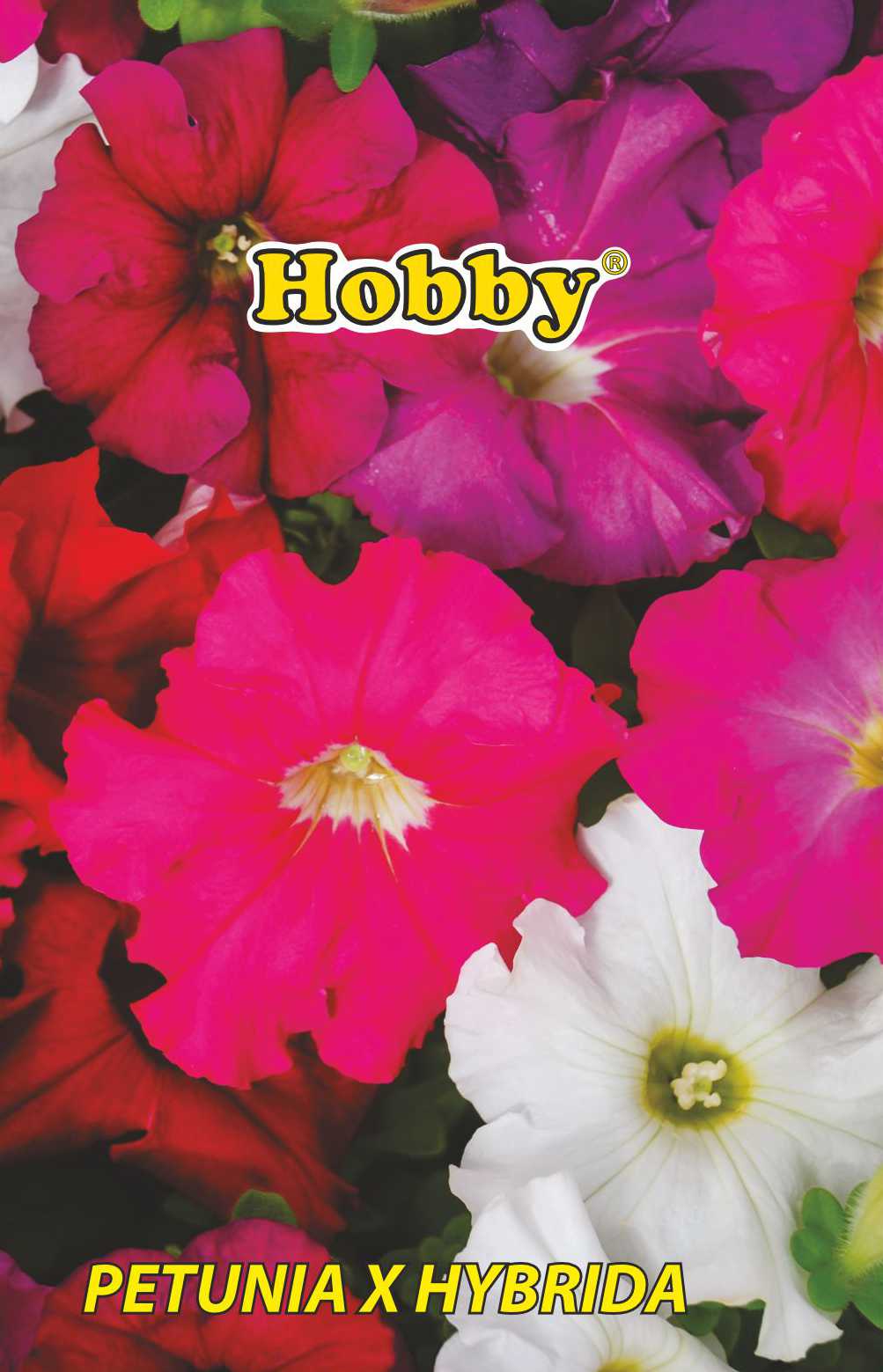 Seminte petunie  Hobby
