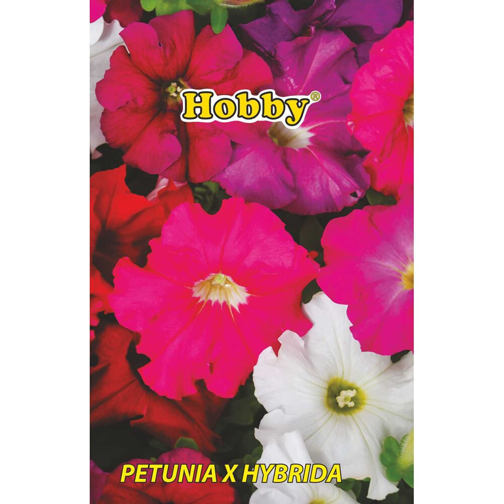 Seminte flori Petunie HOBBY