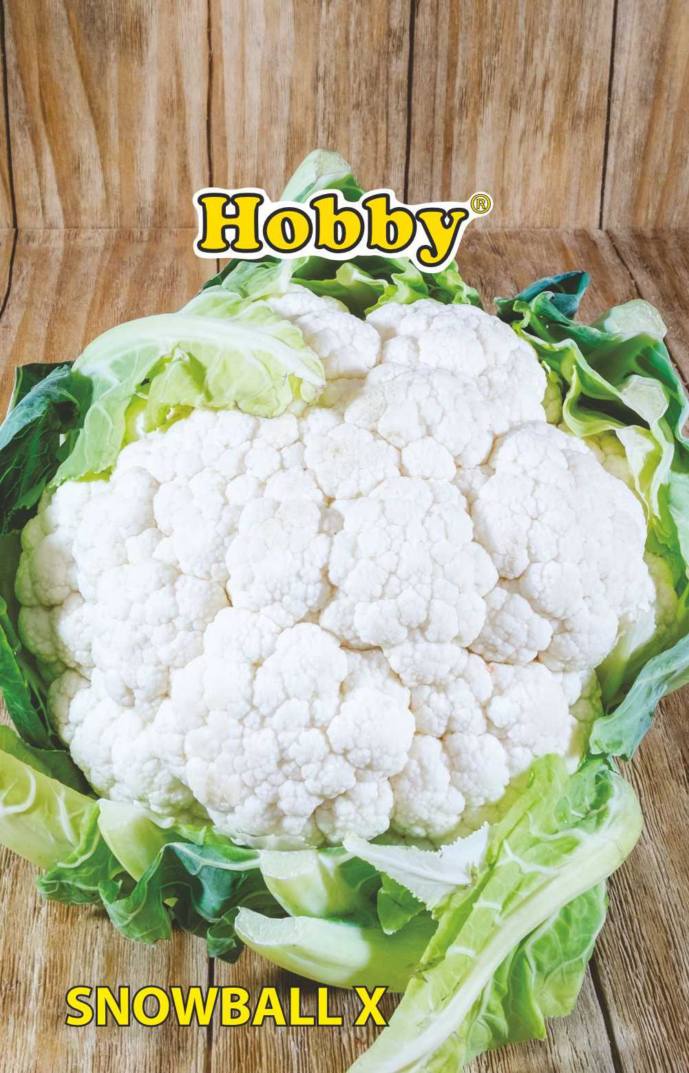 Seminte conopida, snowball  Hobby