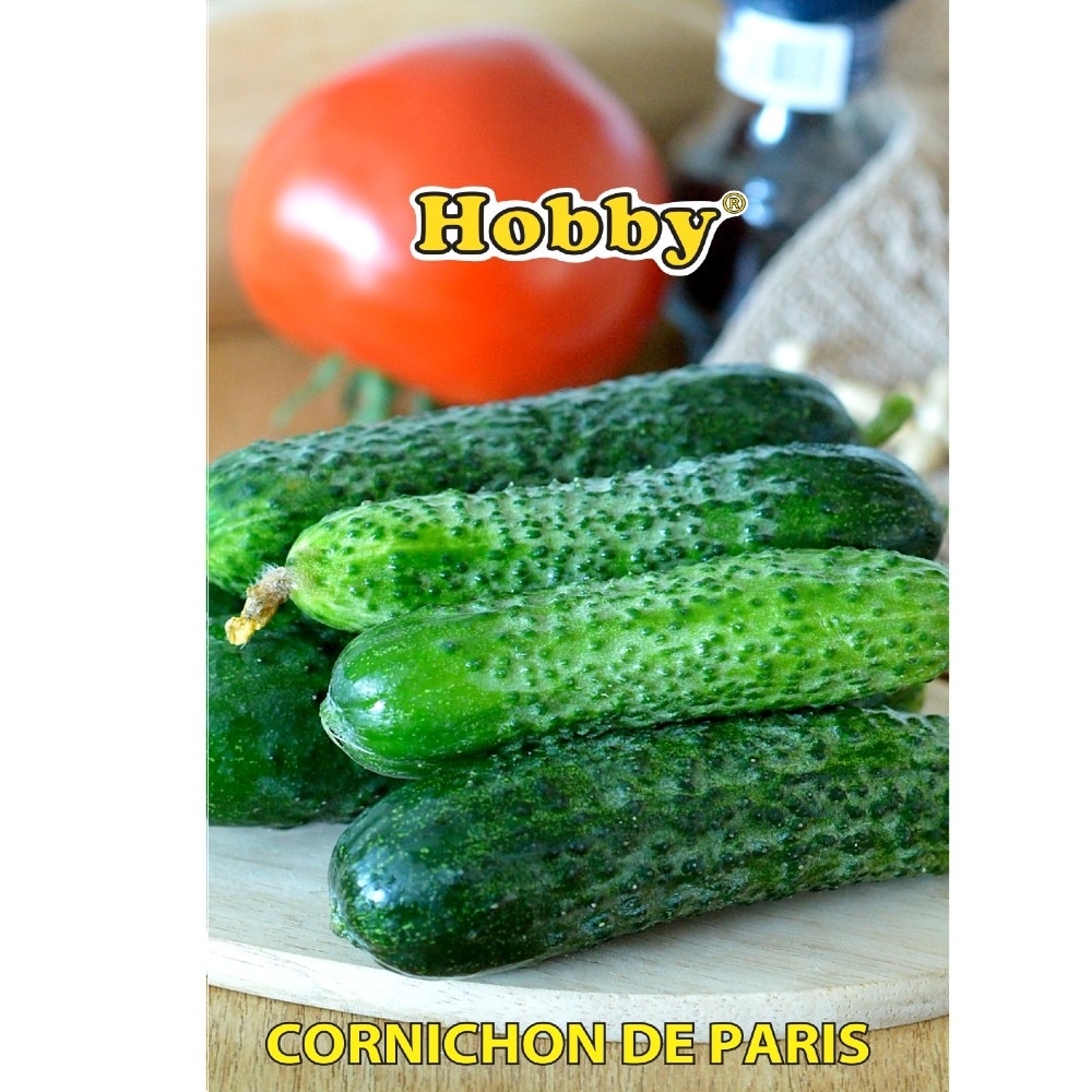 Seminte castraveti Cornichon de Paris  Hobby