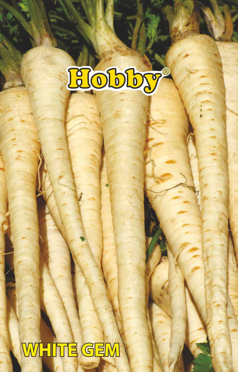 Seminte pastarnac  Hobby