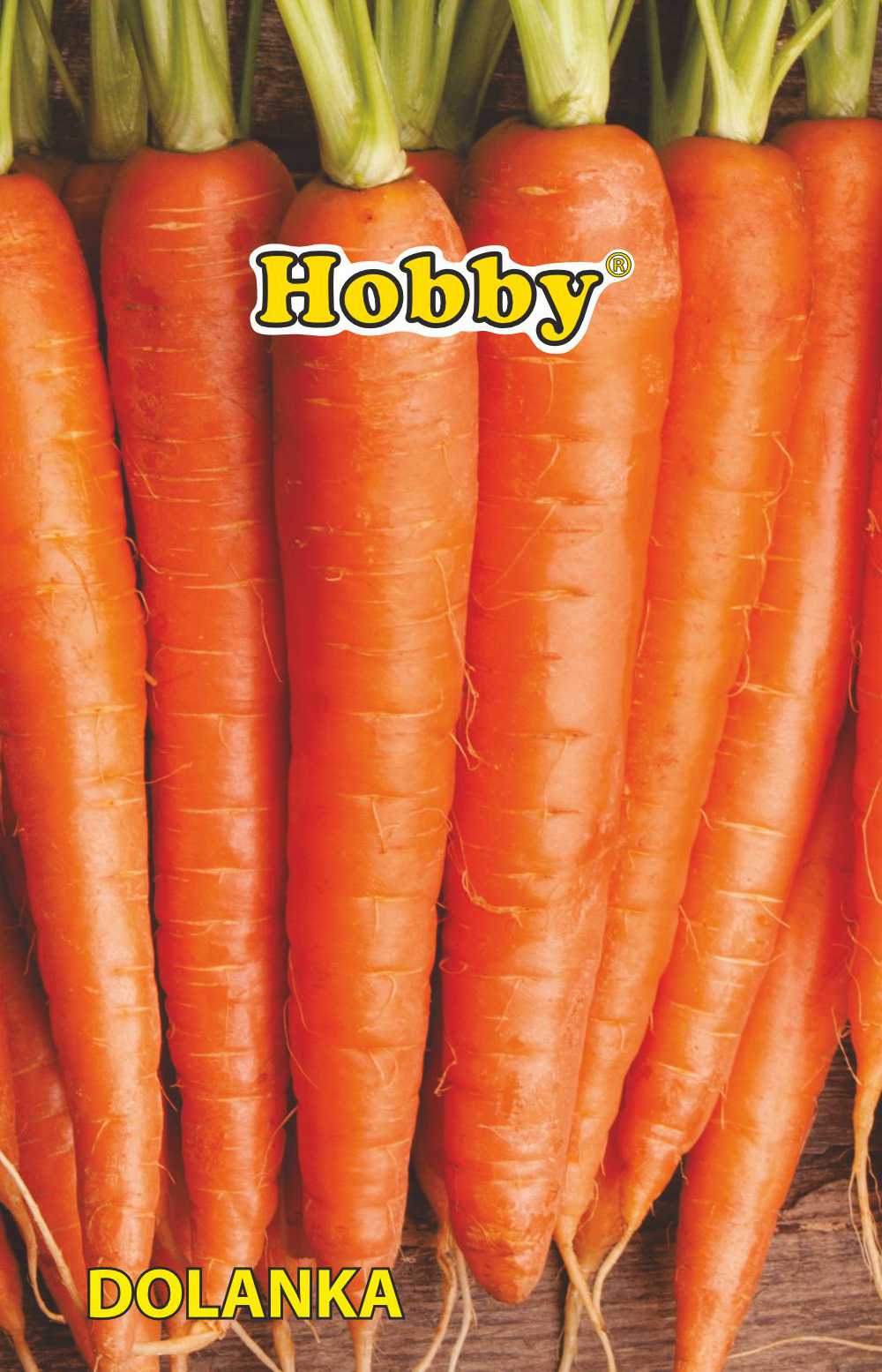 Seminte morcovi flakker  Hobby