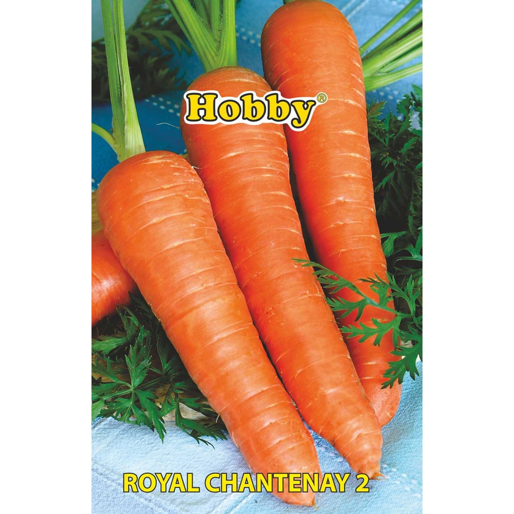 Seminte legume Morcovi Royal Chantenay HOBBY