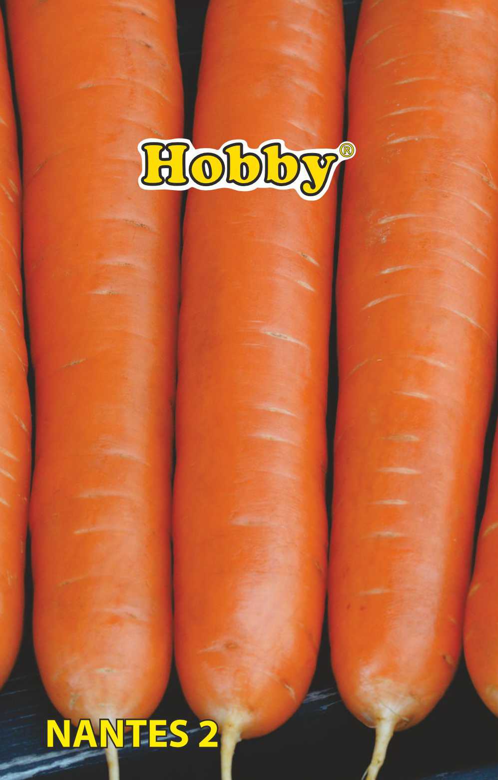 Seminte morcovi Nantes  Hobby