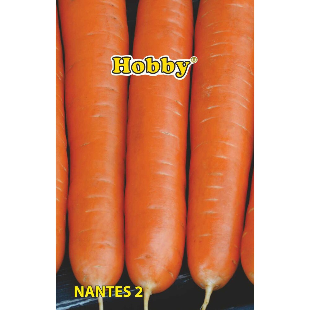 Seminte legume Morcovi Nantes HOBBY