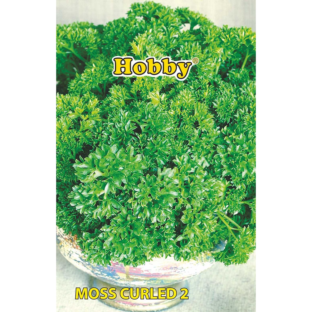 Seminte plante aromatice patrunjel de frunze Moss Curled 2 HOBBY, 2g