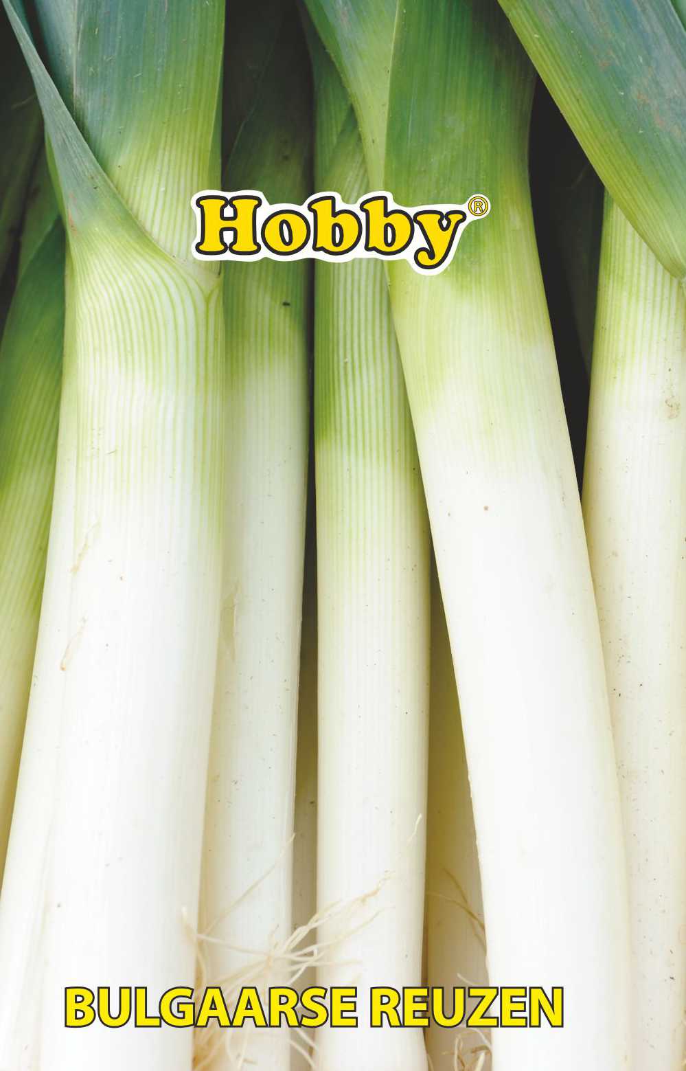 Seminte praz Bulgaarse Reuzen  Hobby