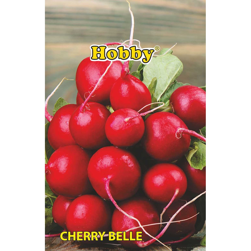 Seminte legume ridichi Cherry Belle HOBBY