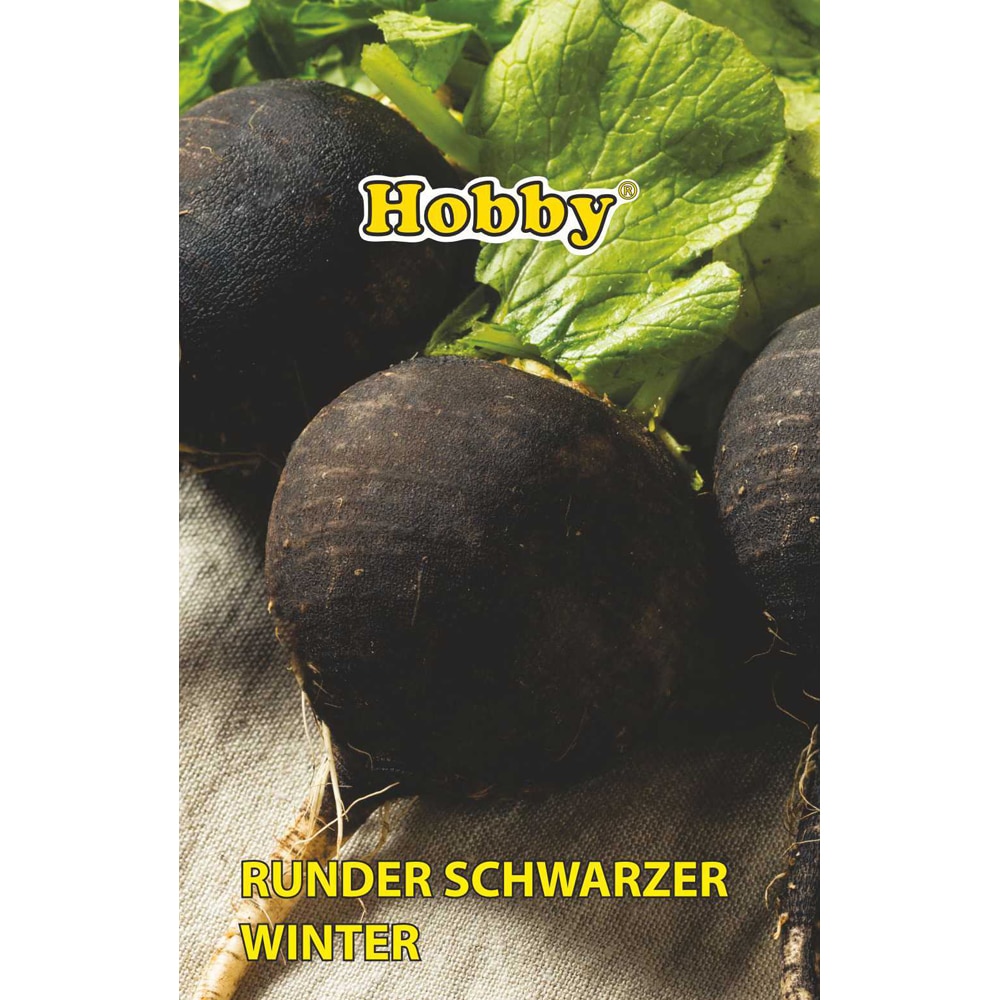 Seminte legume Ridichi Runder schwarzer winter HOBBY