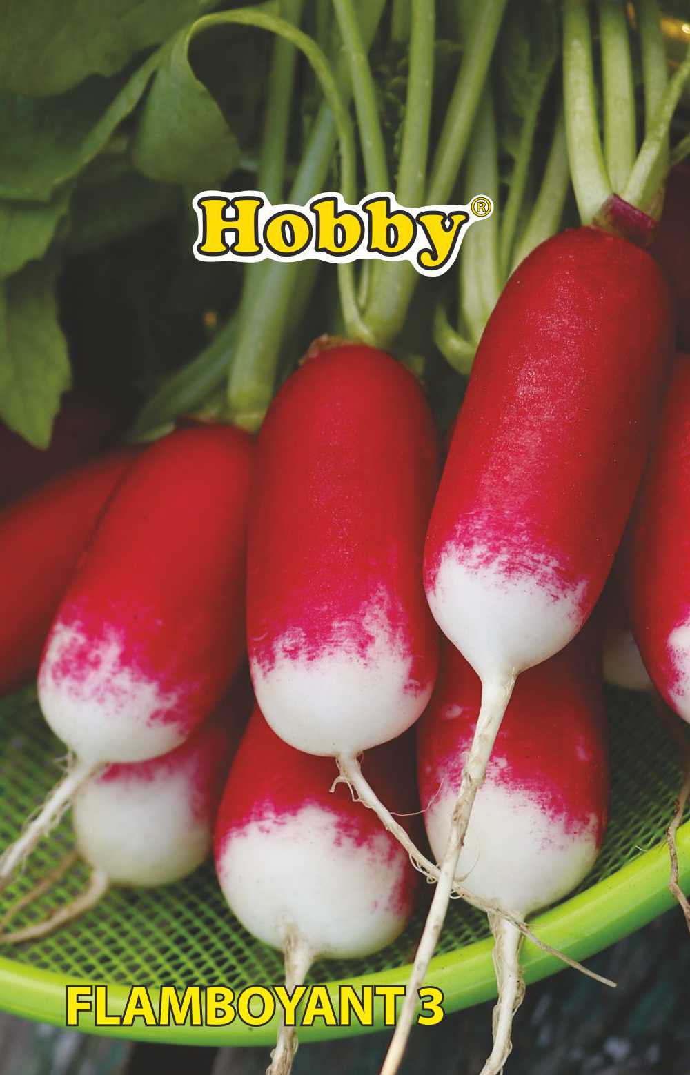 Seminte ridichi, french breakfast  Hobby