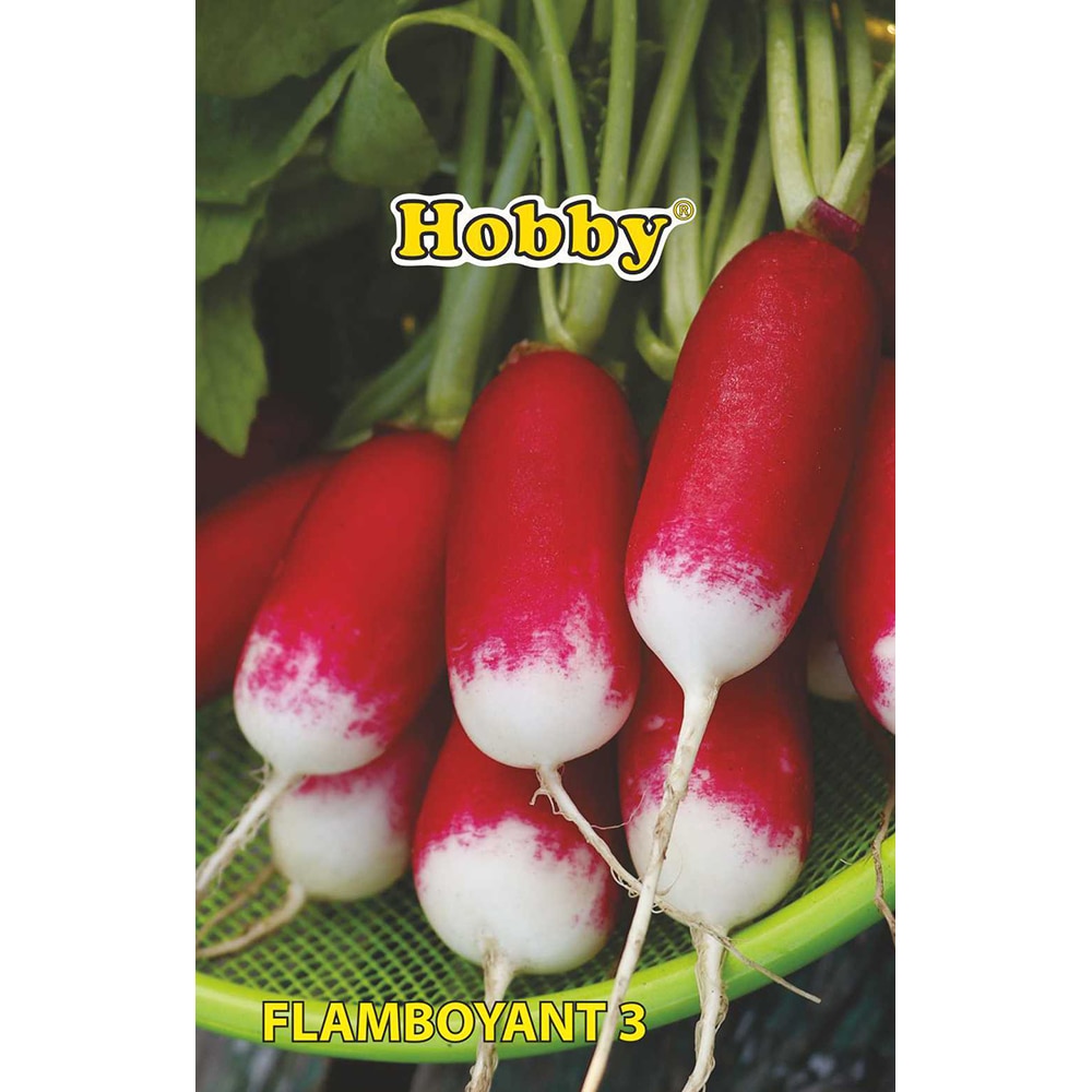 Seminte legume ridichi Flamboyant 3 HOBBY