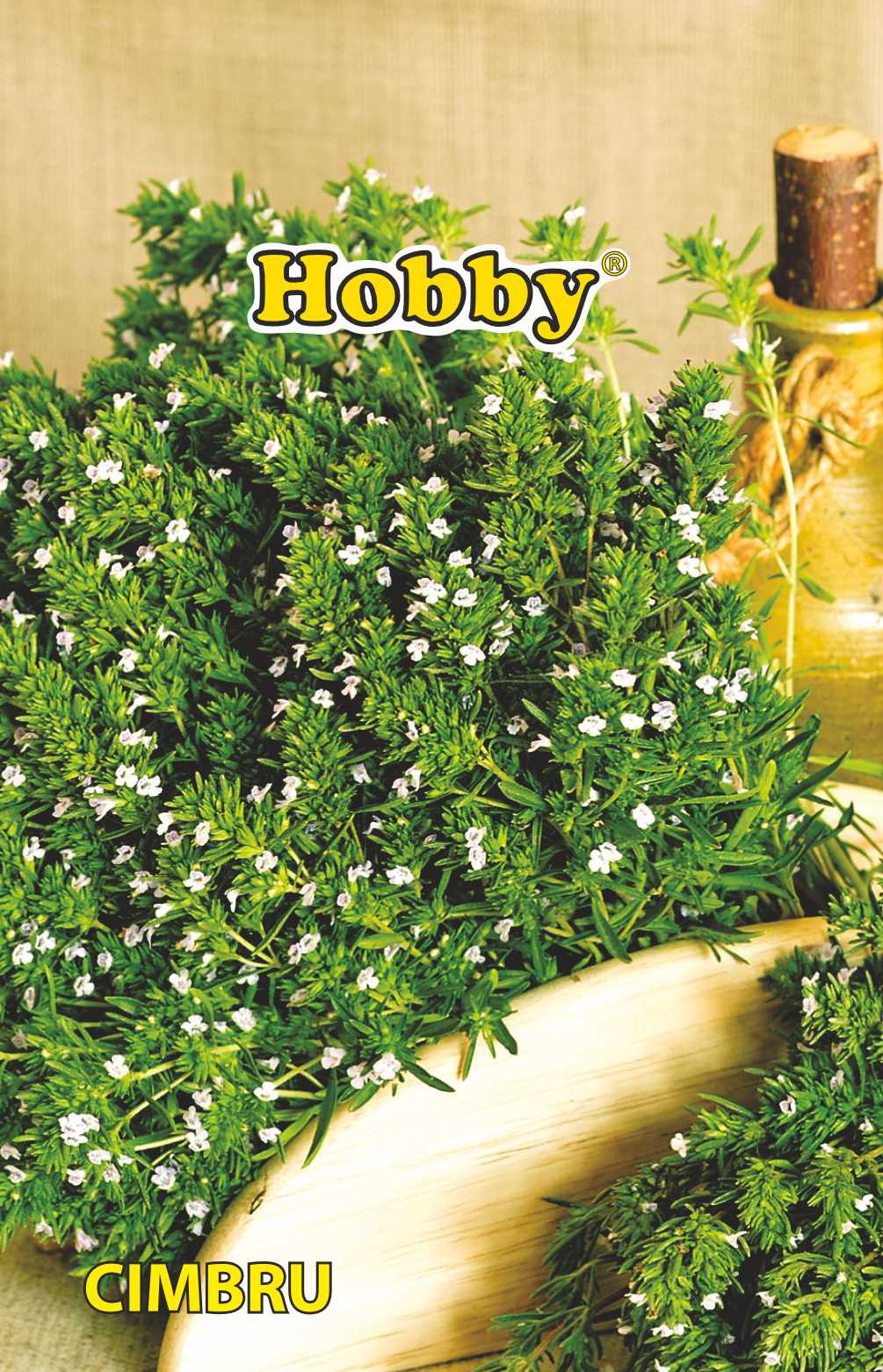 Seminte cimbru  Hobby