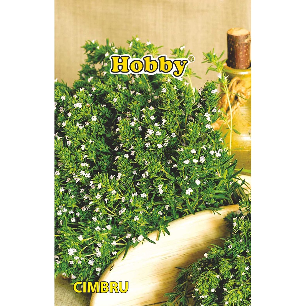 Seminte plante aromatice cimbru HOBBY