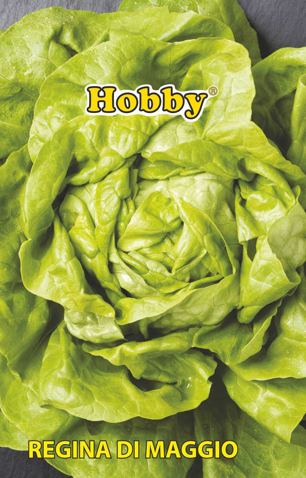 Seminte salata May king  Hobby