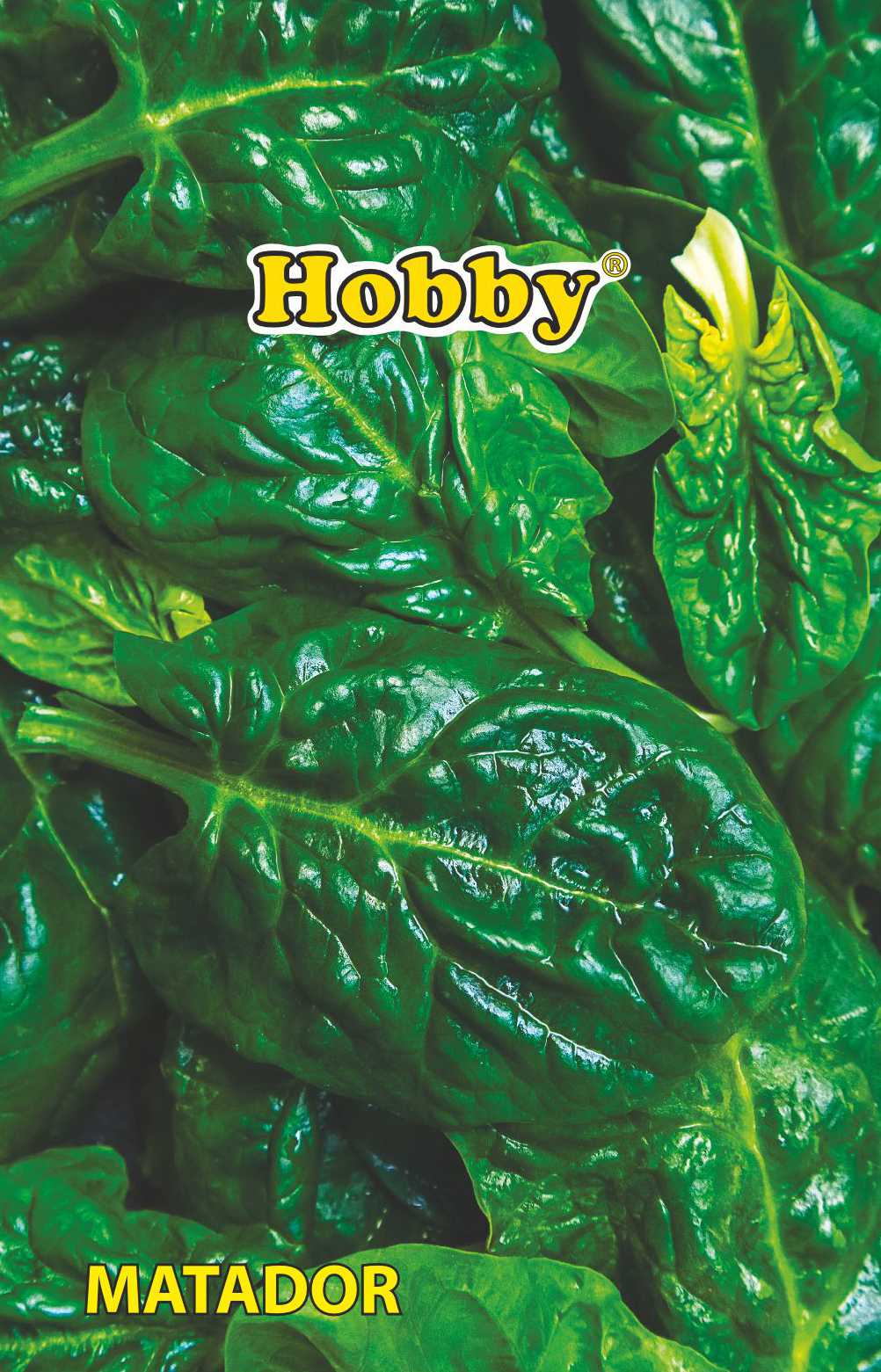 Seminte spanac Matador  Hobby