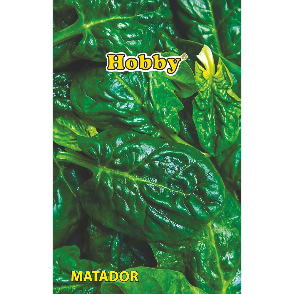 Seminte legume spanac Matador HOBBY