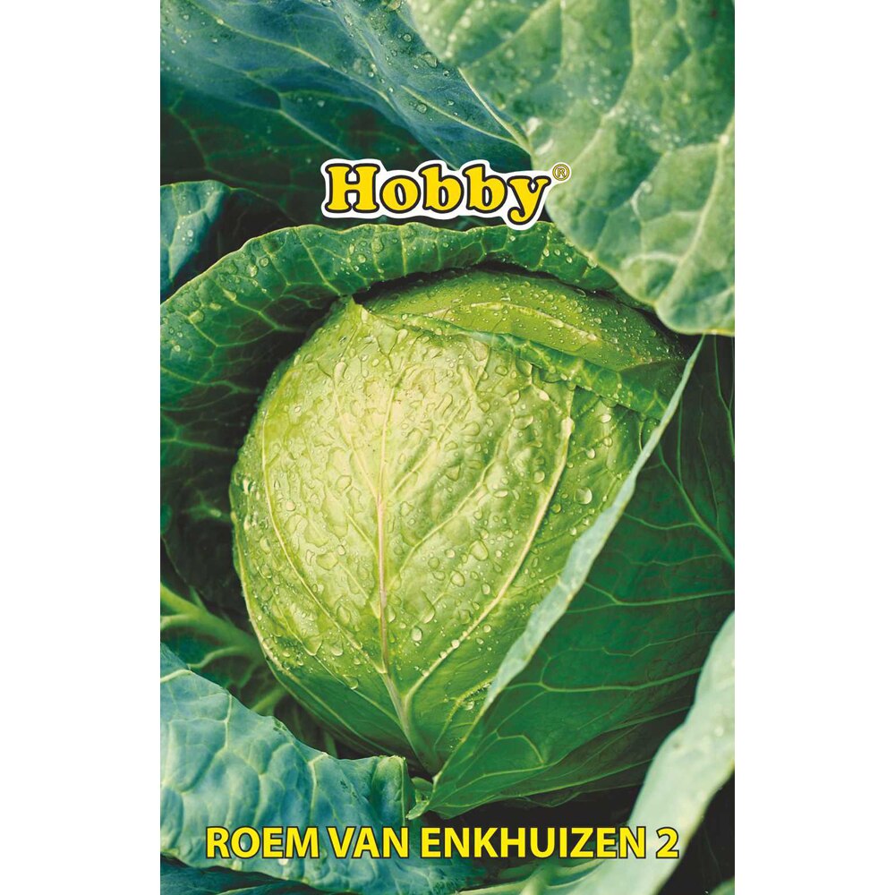Seminte legume Varza Gloria HOBBY