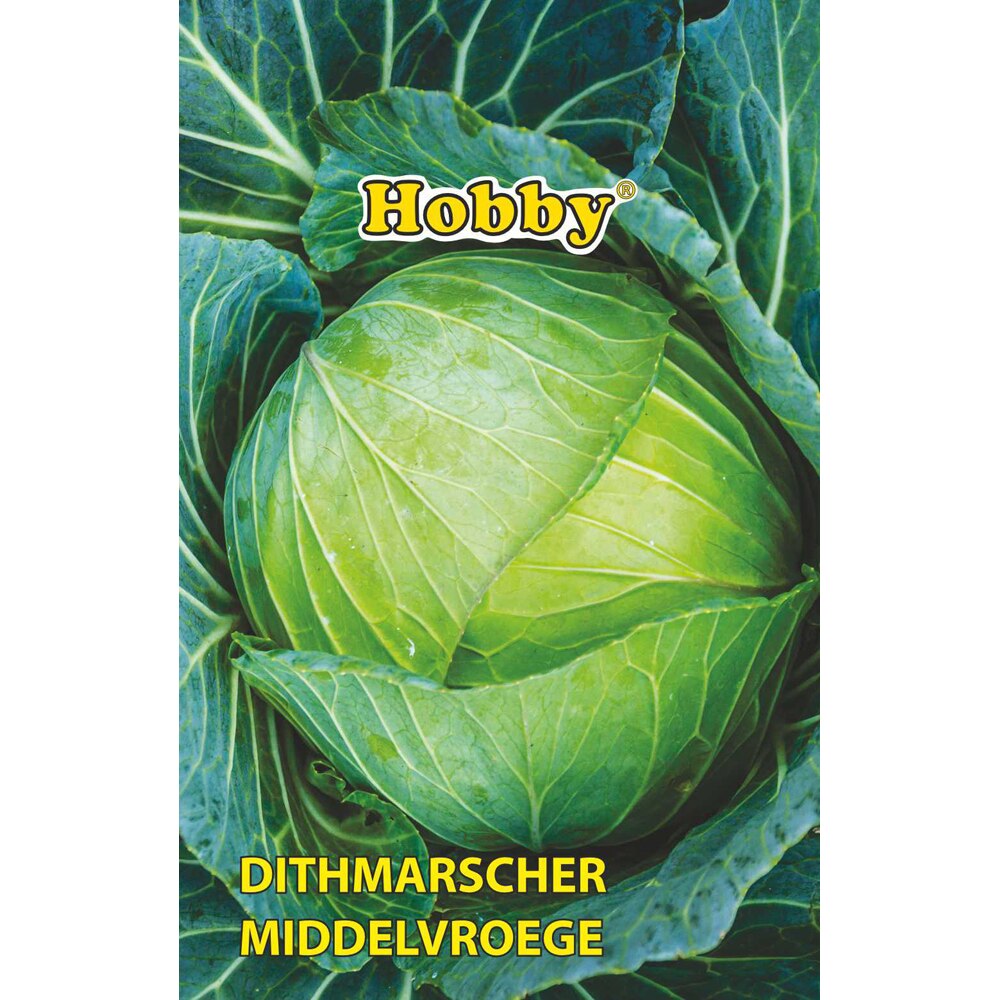 Seminte legume Varza Ditmarsker HOBBY