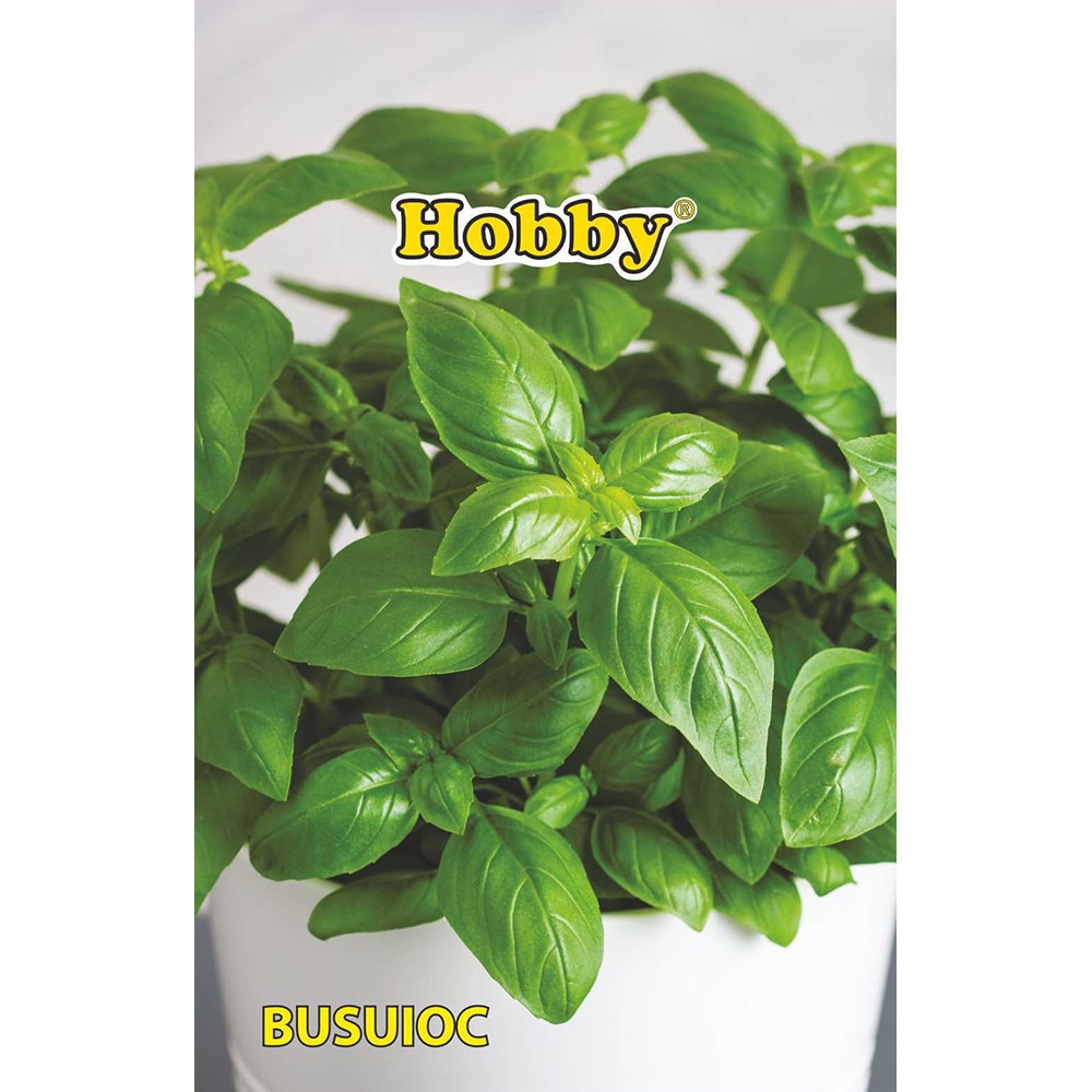 Seminte plante aromatice busuioc HOBBY, 1g